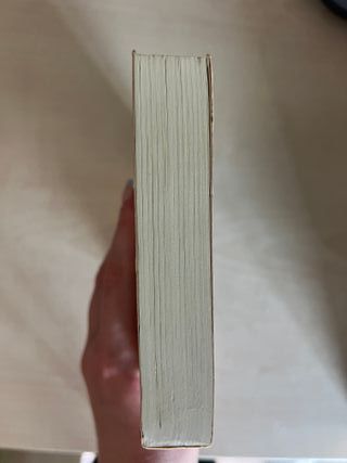 RUBIA DE HORMIGON: DETECTIVE HARRY BOCH