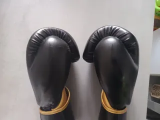 Guantes de Boxeo MYTRA Tribal Power 16onz