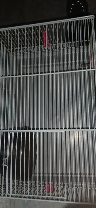 Jaula para hamster con rueda y bebedero