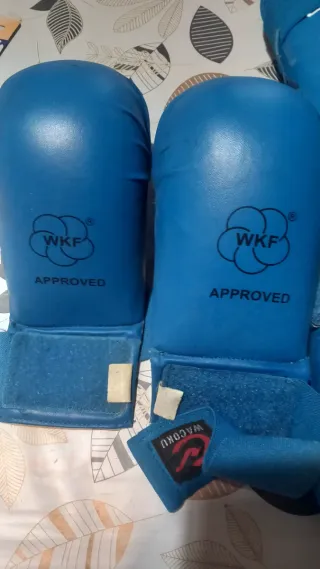 Protecciones Karate Azul están homologado