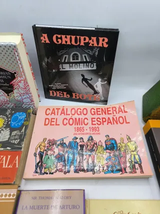 Libros de literatura variados 15€ unidad