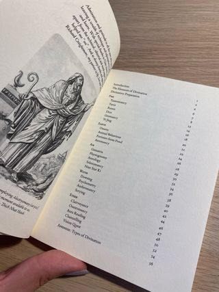 Divination Elements of Wisdom