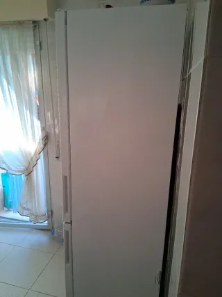 Frigorífico Daewoo Blanco