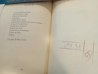 Piel de letra / Letter Skin (Spanish Edition)