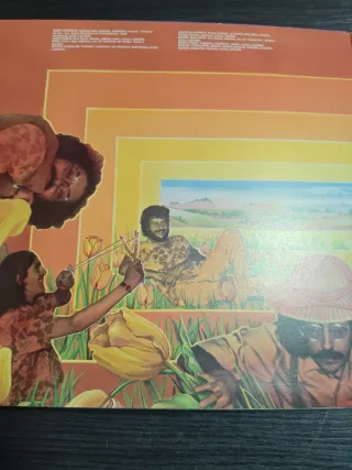 Vinilo de Huapachà Combo - Qué borde era mi valle
