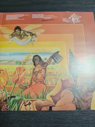 Vinilo de Huapachà Combo - Qué borde era mi valle
