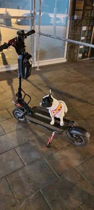 Patinete Eléctrico Dualtron Thunder Negro