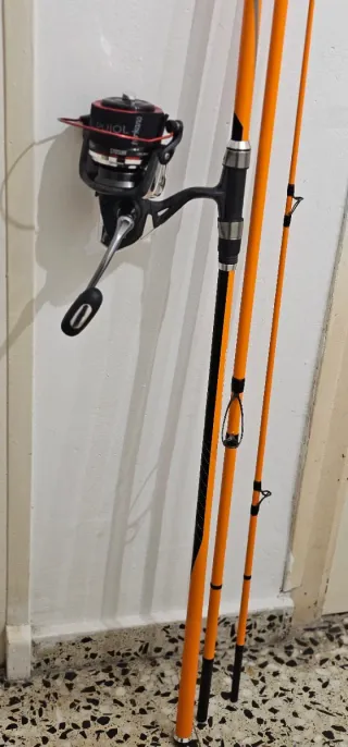 Caña de surfcasting Daiwa Proteus