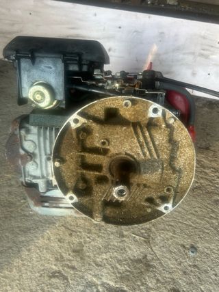 Motor Cortacésped Honda