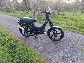Derbi Variant Bola 8 Verde