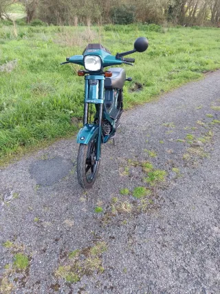 Derbi Variant Bola 8 Verde
