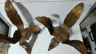 Maceteros Antiguos de Metal y Terracota