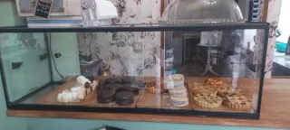 Vitrina expositora neutra para hostelería