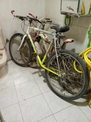 Bicicleta Montaña Macario Vintage