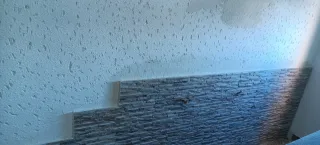 Servicios para el hogar DG