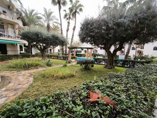 Piso en alquiler en Torrelamata - La Mata en Torrevieja