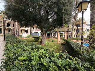 Piso en alquiler en Torrelamata - La Mata en Torrevieja