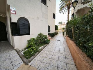 Piso en alquiler en Torrelamata - La Mata en Torrevieja