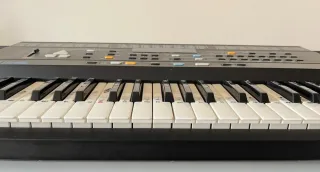 Teclado Roland E-16 Sintetizador 61 teclas Negro