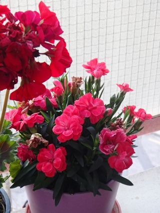 Cámara Olympus Tough TG-630