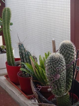 Cámara Olympus Tough TG-630