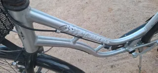 Bicicleta Holandesa Aluminio