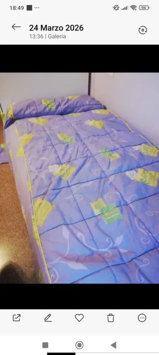 Colcha y saco nórdico a juego. Precio por los dos.