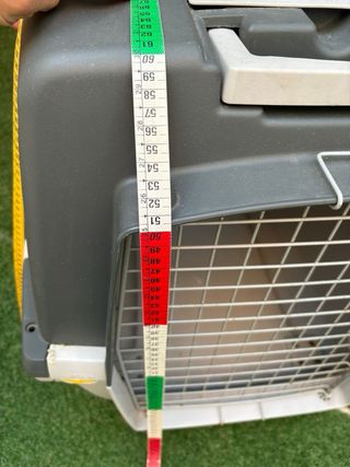 TRANSPORTIN  GRANDE CON RUEDAS .