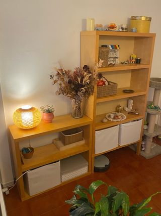 Estantería alta y taquillón bajo