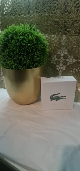 Pulsera Lacoste Plata