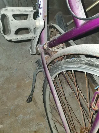 Bicicleta Morada