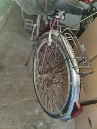 Bicicleta Morada