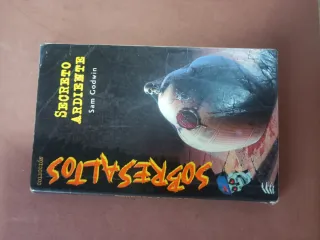 Libro Marianela y Multi Traductor