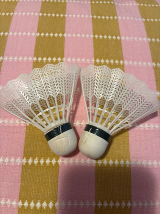 Racchette da badminton e volani con custodia