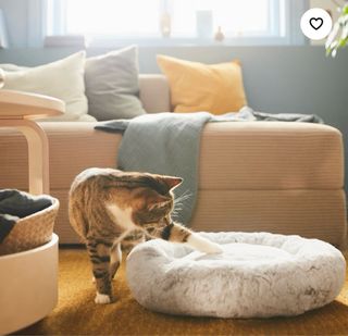 Cama para mascotas