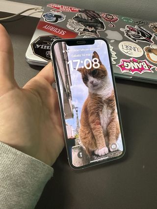 iPhone 12 Pro 256GB Argento