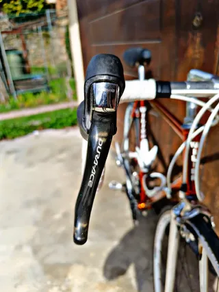 Wilier Triestina gioiello ramato