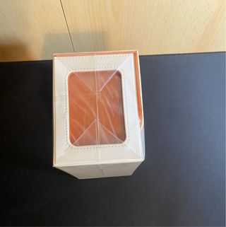 Porta deck Pokemon Eeveelutions