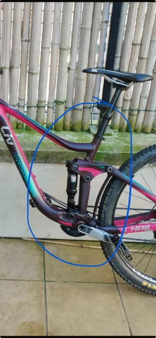 Bici all mountain Liv Hail 27.5