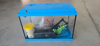 Pecera de cristal azul