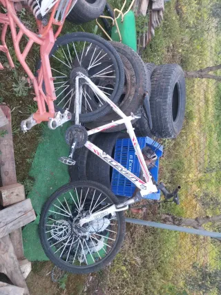 Bicicleta de montaña