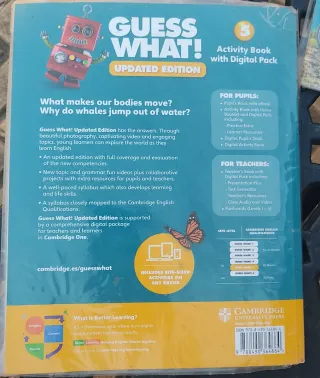 Guess What! 5 Activity book with online resources