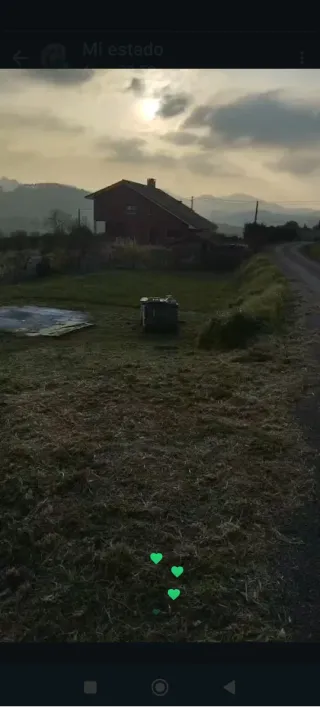 Jardinero profesional y económico