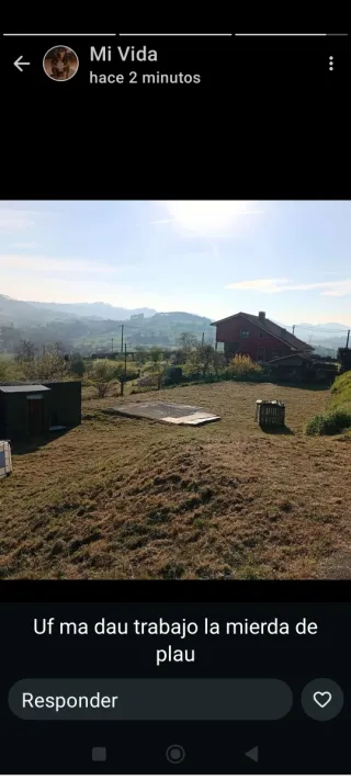 Jardinero profesional y económico