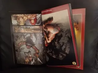 Red Sonja: She-Devil with a Sword Omnibus Volume 1