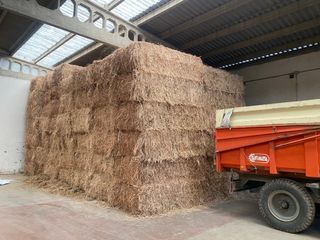 Esparceta forraje en paquete grande