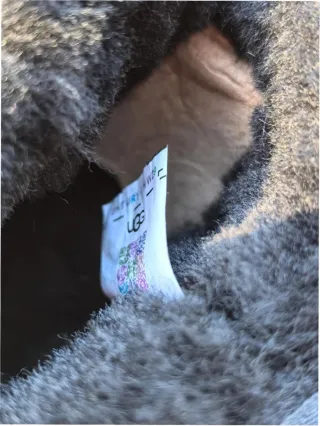 Botas UGG Mini Plataforma Talla 37