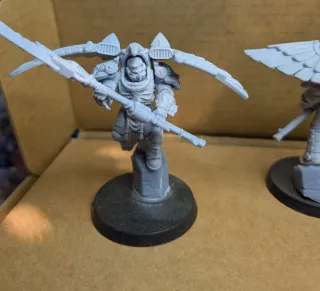 Venatari Custodes 40k