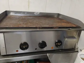 Plancha Eléctrica Profesional