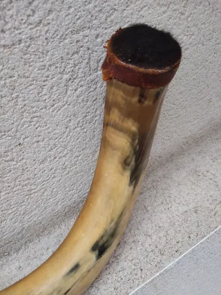 Bota de vino antigua bodega rústica